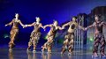 Lionking 0087
